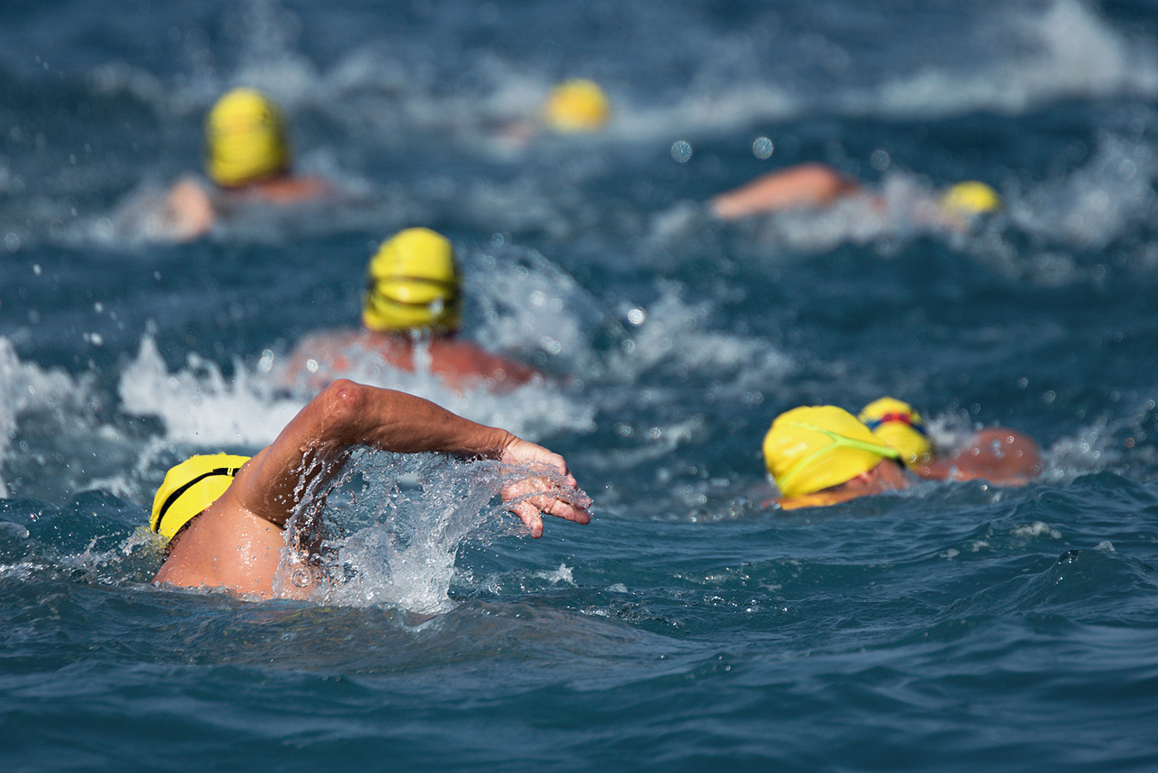 Triathlon swimmers inthe open sea