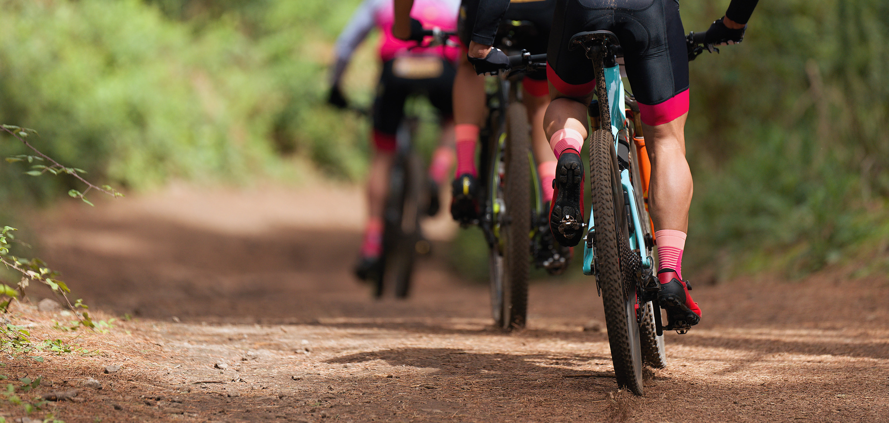 Group of athletes mountain biking on forest trail